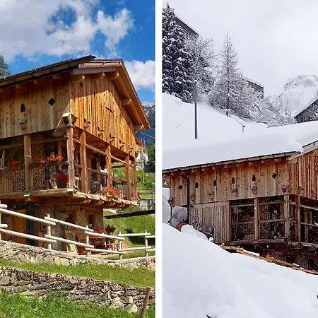 Chalet-tabia Al Sol Montagna Dolomiti Pecol 아파트